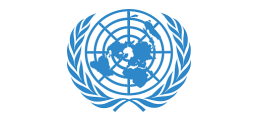 UN logo